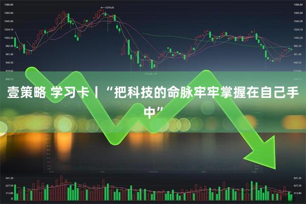 壹策略 学习卡丨“把科技的命脉牢牢掌握在自己手中”