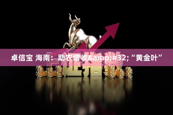卓信宝 海南：助农增收&#32;“黄金叶”