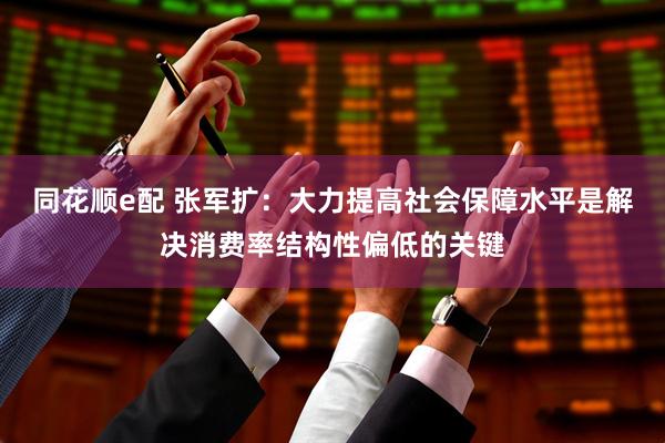 同花顺e配 张军扩：大力提高社会保障水平是解决消费率结构性偏低的关键