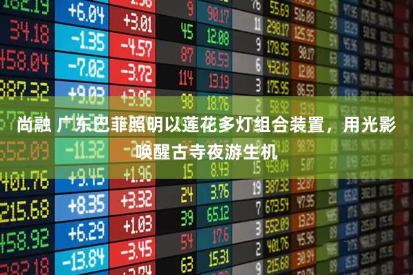 尚融 广东巴菲照明以莲花多灯组合装置，用光影唤醒古寺夜游生机