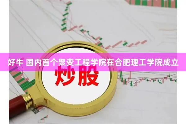 好牛 国内首个聚变工程学院在合肥理工学院成立
